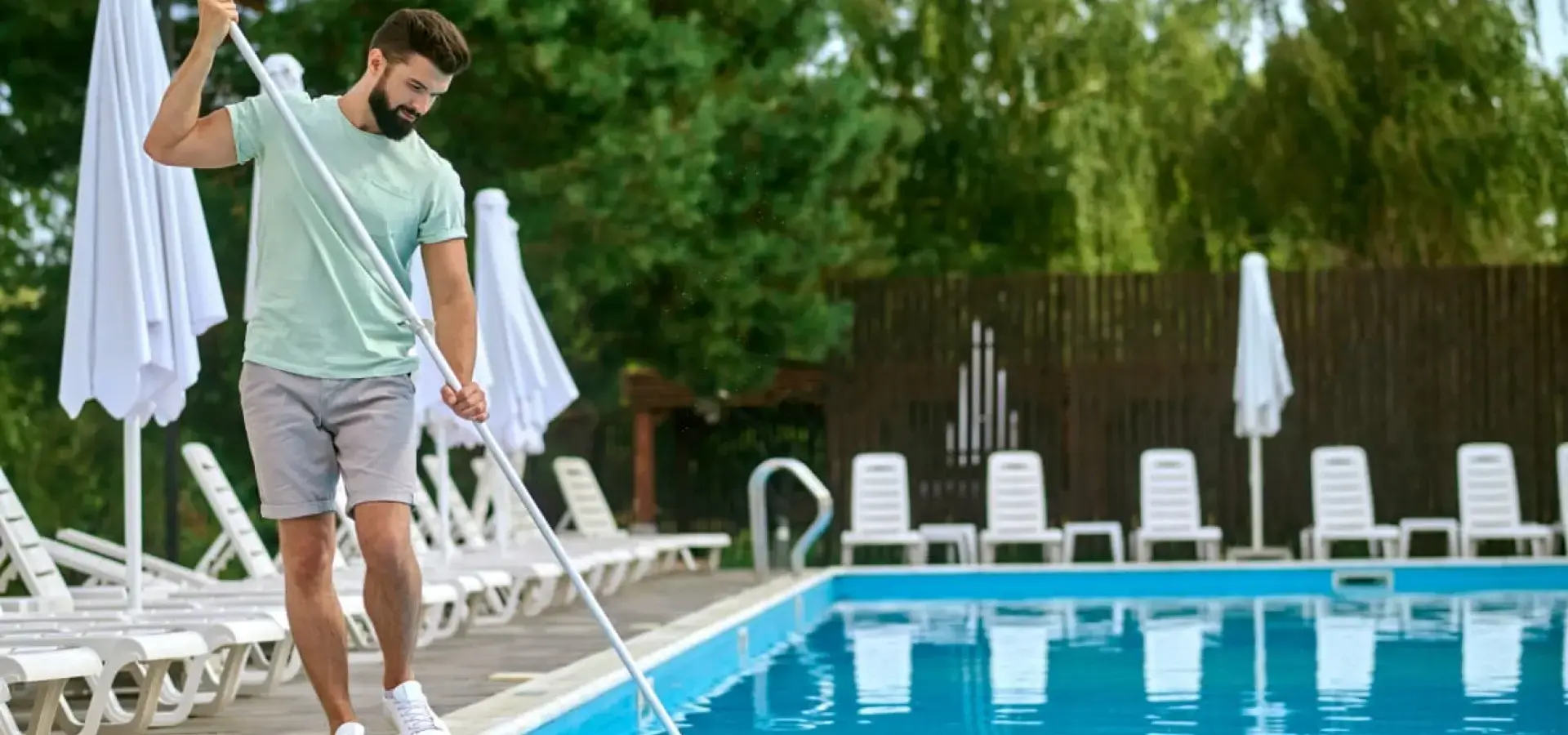 solution services bg